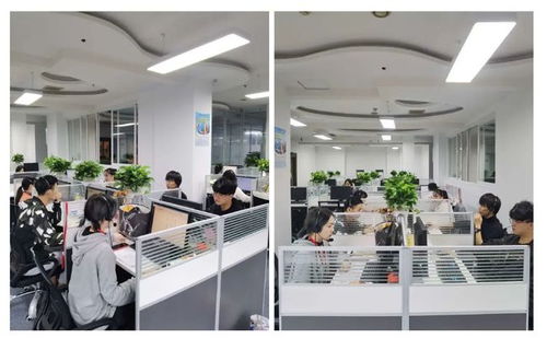 成都市成華區(qū)第七次全國(guó)人口普查咨詢熱線正式開通，為您提供便捷信息咨詢服務(wù)